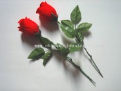 Flashing Rose images