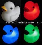 Flashing Duck images