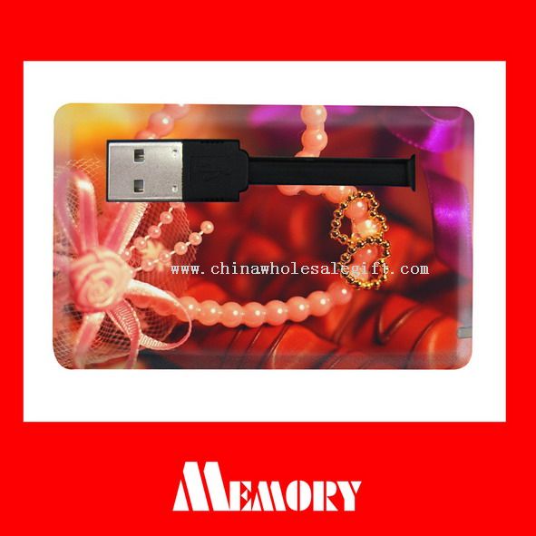 USB Flash Disks China