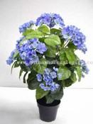 Hydrangea Tree W/Pot images