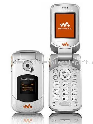 Sony Ericsson W300
