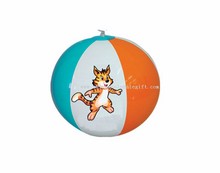 TIGER BEACH BALL images