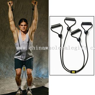 Everlast 4 Way Ab Stretch