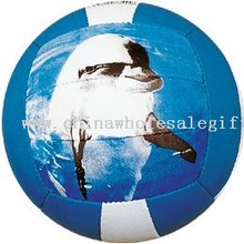 Hand Sewn Synthetic leather Volleyball images