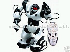 5063 R/C 6ch Ro-bosapien, RTR