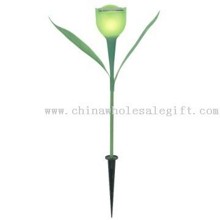 Solar powered Tulip Light images