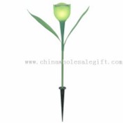 Solar powered Tulip Light images