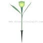 Solar powered Tulip Light small picture