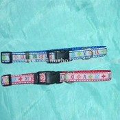 Pet Collar with Safty Buckle and Reflective Trim images