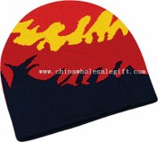 Winter Jacquard Hat images