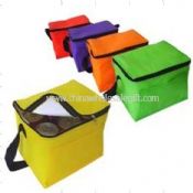 PP Non-Woven Cooler Bags images