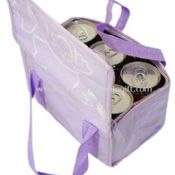 300D polyester 6 Can Cooler Bags images