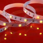 SMD LED Strip Light with 3M Adhesive Back Tape Available in Warm White Color images