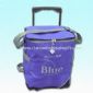 600D/PVC Cooler Bag in Light Gray Trimming Cooler Bag small picture