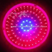 150W Red/Blue LED Grow Light, Used for Plant Growing images