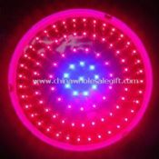 150W Red/Blue LED Grow Light, Used for Plant Growing images