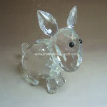 Crystal Rabbit images