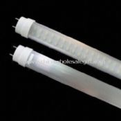 8W Cool White LED Tube with High Lumen of 980lm and 50,000 Hours Lifespan images