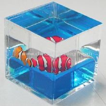 Acrylic Liquid Filled Cube Paperweight images