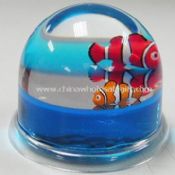 Acrylic Liquid Filled Global Paperweight images
