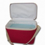 Hard Cooler Bag with Plastic Ice Box Inside, Made of 600D Polyester Material images
