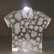 Crystal Shirt Model images