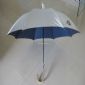 Umbrella with Water Proof Case small picture