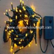 LED Twinkle Light for Indoor and Outdoor Lighting images