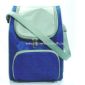 Insulated cooler bag with zippered front pocket small picture