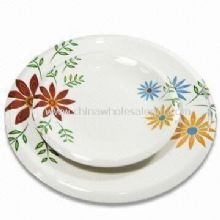 Melamine Plates with Non-toxic images