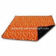 Traveling/Camping Mat and Picnic Rug images
