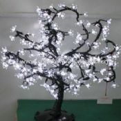 LED Trees Light images