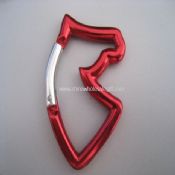 House Head Carabiner images