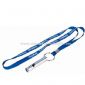 Lanyard metal whistle small picture