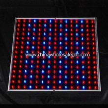 14w LED Grow Lamps images