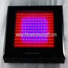 600w led growing lamps images