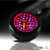 50pcs 1W Led Grow Light images