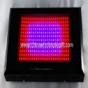 600w led growing lamps images