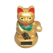 Solar-cat images