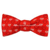 Polyester Woven Bowtie images
