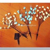 solar Flower string light images