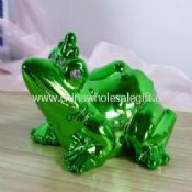 Frog Piggy Bank images