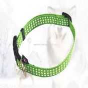 Pet collar images