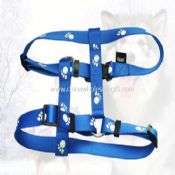 Pet Triangle harness images