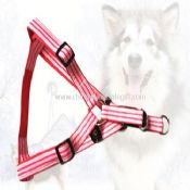 Triangle harness images