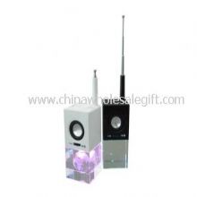 Crystal FM radio speaker images