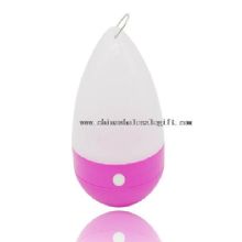 egg shape camp lamp images