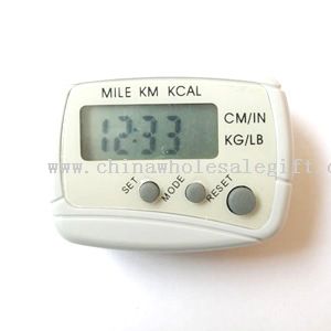 Multi-functional Pedometer