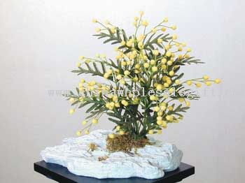 Mimosa W/PU Stone