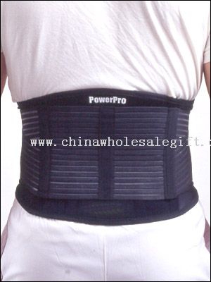 Universal Back Support (with stays)